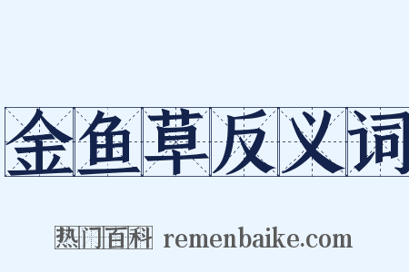 金鱼草反义词是什么意思的图片
